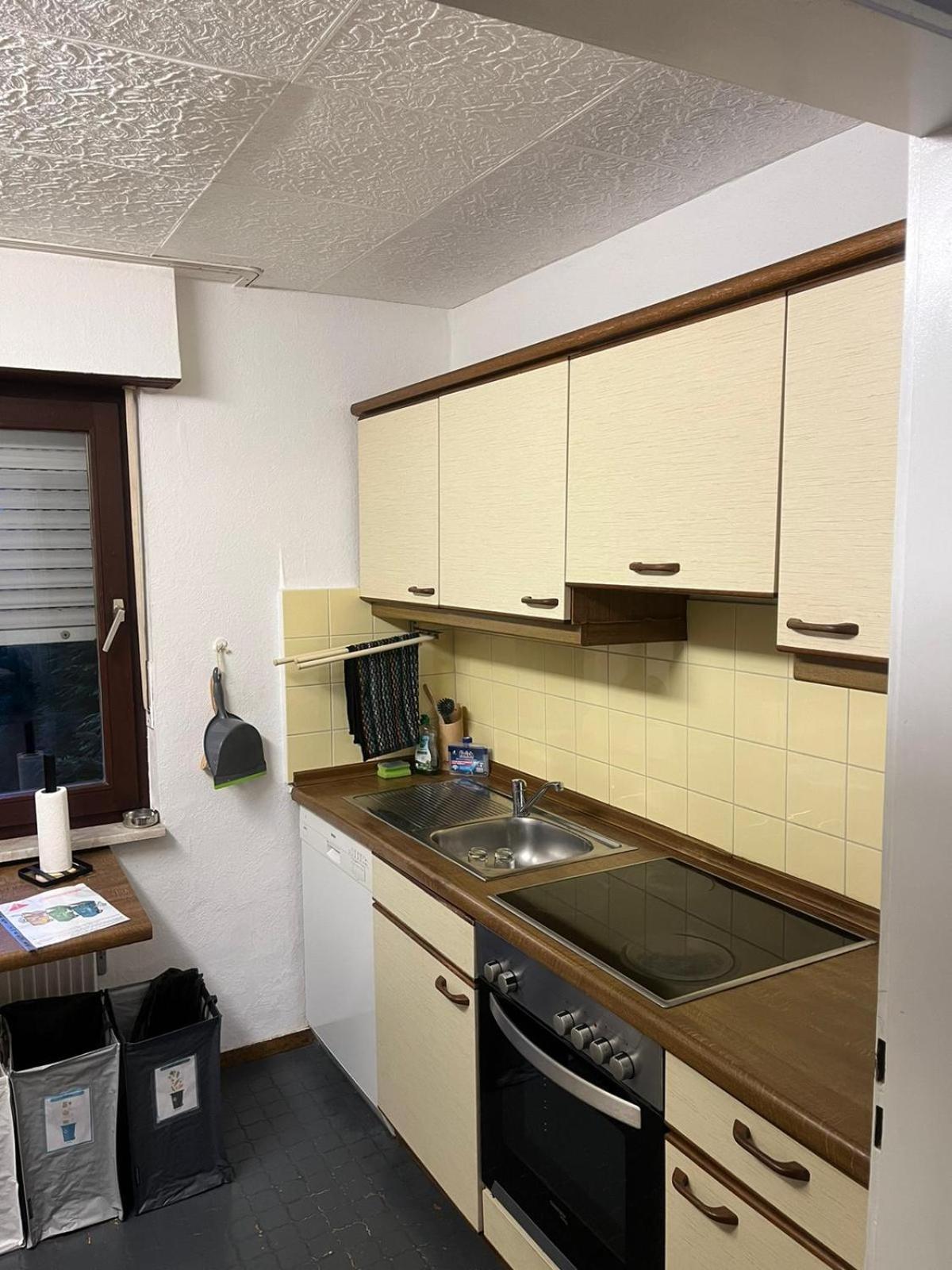 Appartement Avec Jacuzzi Et Jardin Kehl Exterior foto